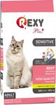 Rexy Biftekli 1 kg Yetişkin Kuru Kedi Maması