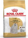 Royal Canin Adult Maltese Terrier 1,5 kg Özel Irk Yetişkin Köpek Maması