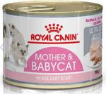 Royal Canin Babycat Instinctive Yaş Yavru Kedi Maması 195 Gr 10 adet