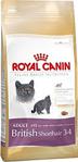 Royal Canin British Shorthair 34 400 gr Yetişkin Kuru Kedi Maması