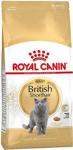 Royal Canin British Shorthair 4 kg Yetişkin Kuru Kedi Maması