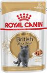 Royal Canin British Shorthair 85 gr Yetişkin Kedi Konservesi