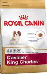 Royal Canin Cavalier King Charles Junior 1,5 kg Yavru Köpek Maması