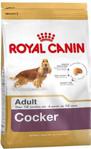 Royal Canin Cocker 3 kg Irka Özel Yetişkin Köpek Maması