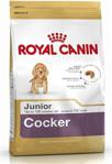 Royal Canin Cocker Junior 3 kg Yavru Köpek Maması