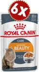 Royal Canin Intense Beauty Jelly 85 gr 6'lı Paket Yetişkin Kedi Konservesi