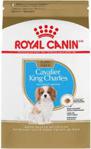 Royal Canin King Charles Cavalıer Puppy Özel Irk Yavru Köpek Maması 1,5 Kg