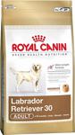 Royal Canin Labrador Retriever 12 kg Irka Özel Yetişkin Köpek Maması