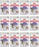 Royal Canin Sterilised Jelly Kısırlaştırılımş Pouch 85 gr 12'li Paket Yetişkin Kedi Konservesi