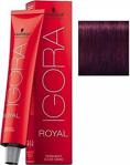 Schwarzkopf Igora Royal Saç Boyas 6-99 Koyu Kumral Yoğun Viyole