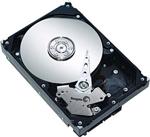 Seagate SV35.5 500 GB ST3500410SV Hard Disk