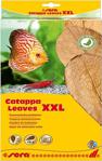 Sera Catappa Leaves Hint Bademi Yaprağı Xxl 32 Cm (10 Adet)