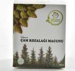 Şifa Ana Çam Kozalağı Macunu 240 G