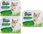 Single Natural Kedi Çimi (3 Adet)