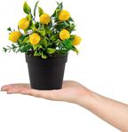 Siyah Mini Plastik Saksıda Yapay Limon Çiçeği