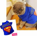 Superman Kedi Tişört By Kemique Kedi̇ Kiyafeti̇