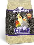 Sweet Bird Çizgili Pareket Çekirdeği 500Gr