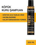 Syoss Fresh & Uplıft Köpük Kuru Şampuan