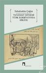 Tanzimat Dönemi Türk Edebiyatında Hikaye/Dergah Yayınları