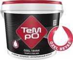 Tempo Özel 10 Kg Tavan Boyası