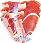 Thermaltake V1 Cl-P0401 Cpu Soğutucu