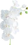 Tmall Home Design Beyaz Orkide Yapay Çiçek 94 cm