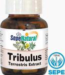 Tribulus Extract 90 Kapsül 480 Mg Demir Dikeni Ekstrakt Ekstre