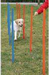 Trixie köpek agility eğitim direkleri