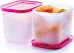 Tupperware Alaska Set 2 X 1.1 Lt ( Saklama Kabı )