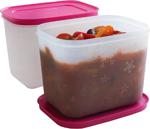 Tupperware Alaska Set 2x1.1 lt Saklama Kabı