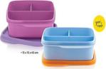 Tupperware Bölmeli Beslenme Kutusu 2 Li Set