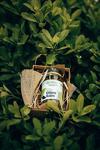 Uzman Diyetisyen Dilara Kaim Ananaslı Bitki Çayı Bitkisel Diyet Çay-40 Gr Detoks Çayı