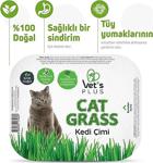 Vet'S Plus 0 Doğal Fileli Kedi Çimi (Tüy Yumağı Önleyici)