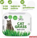 Vet'S Plus Tüy Yumaklarına Karşı %100 Doğal Fileli Kedi Çimi