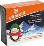 Vitacold Vitamin, Mineral Bitkisel Vitamin C Çinko Karamürver 20 Saşe