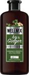 Wellmax Sarmaşık & Zencefil Saç Kremi 500Ml. Ivy Ginger Tuzsuz-Parabensiz-Boyasız