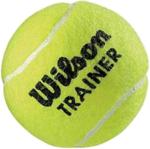 Wilson Trainer Tenis Topu Tekli WRT131100