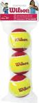 Wilson Wılson Starter Red Tball 3 Pack Tenis Topu