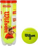 Wilson WRT100101 Championship 3'lü Tenis Topu