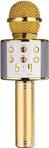 Wster Ws-858 Gold Bluetoot Karaoke Mikrofon