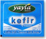 Yayla Kefir Mayası 1 G