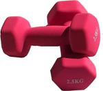 Zepca Ithal Fitnes Pembe Deluxe Neopren Kaplama 2 X 2,5Kg Dambıl