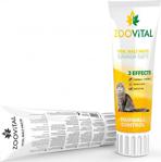 Zoovital Hairball Control Kedi Malt Macunu 100 Gr