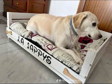 Cama rústico para pet