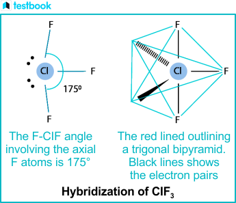 Hybridization of ClF3 (Chlorine Trifluoride) - Detailed Explanation with Important Points