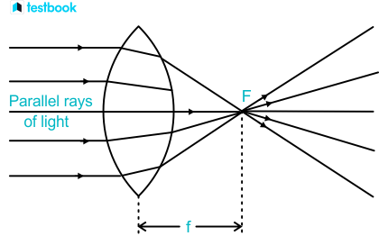 Uses of Convex Lens: Definition, Uses in daily life, Types- Plano