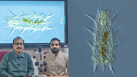 (L-R) Senior Prof Dr S Bijoy Nandan, Department of Marine Biology (left) and Vishnudattan N.K, research scholar, Batillipes Chandrayaani.