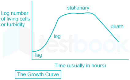 Bacterial Growth Curve: Phases, Significance • Microbe Online