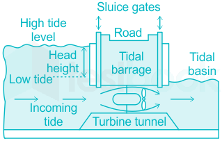 Green Mechanic: Tidal Barrage Power Generation