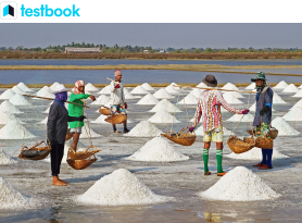 Sea salt - Wikipedia